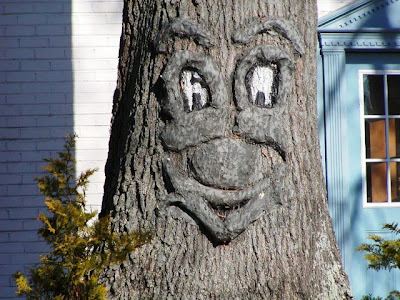 strange and funny trees 33 Pohon Aneh Yang Tumbuh Di Tempat Aneh