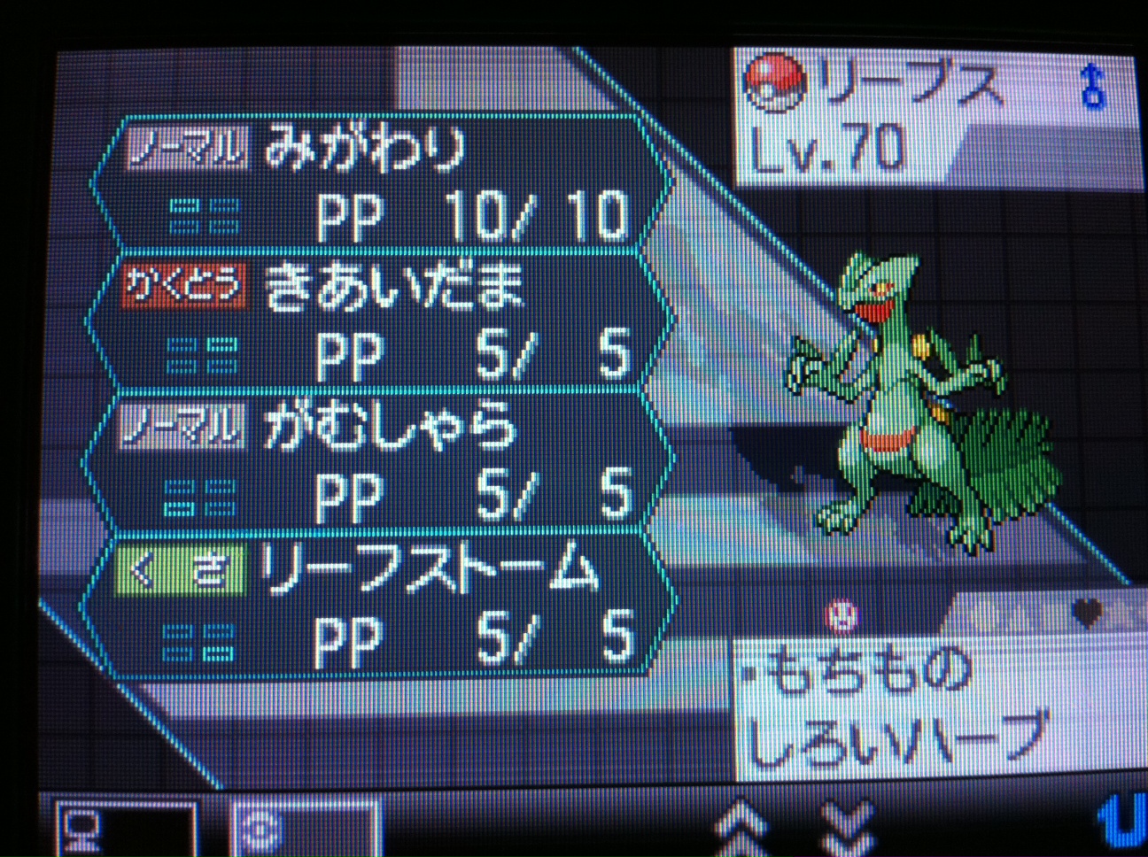 ポケモン しろいハーブ 最高のイラストと図面