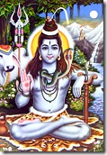 [Lord Shiva]