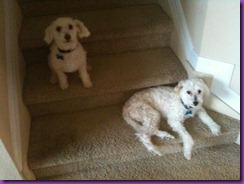 IMG_0298 IMG_0298