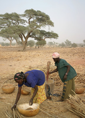 Pobreza extrema en África (hambruna y desnutrición)