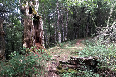 Robledal de Montilisancho - San Kristobal