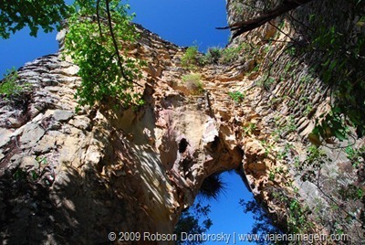 DSC_7026_thumb_thumb[1]