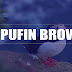 Puffin Browser | Best Browser For Android