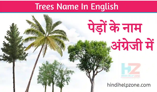Tree names in english | name of trees (types of trees list + pictures)