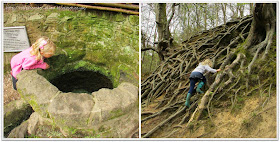 Wishing Well and climbing roots, Waggoner's Wells, National Trust