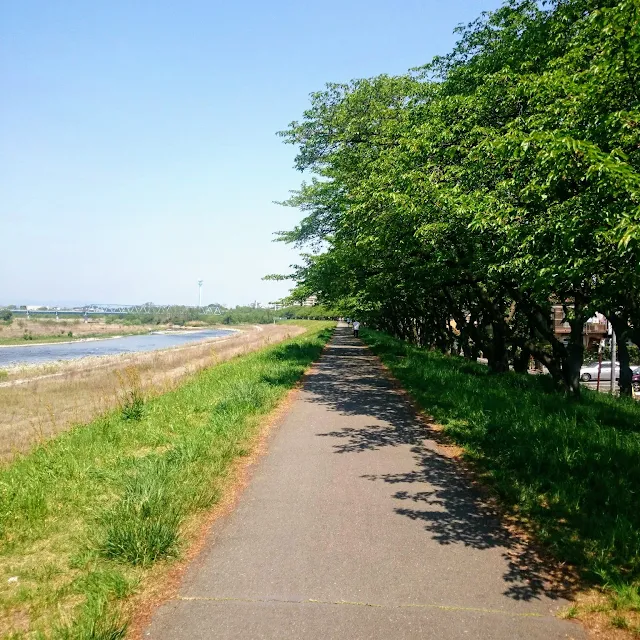 多摩川サイクリングロード