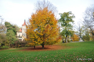 Herbst im englischen Garten Muenchen