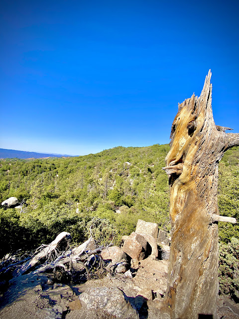 Hot Springs Mountain Trail, The Highest Point in San Diego, San Diego Hiking, California Hikes