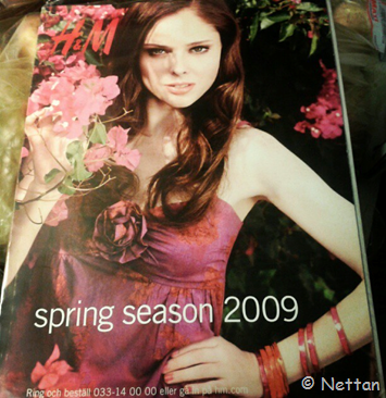 katalog