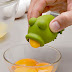 Yolk Frog Egg Separator