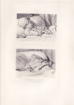 Etudes de petite fille au lit, par MOREAU LE JEUNE Jean-Michel