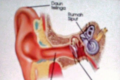 Causes Of Otitis Media Or Middle Ear Inflammation, Symptoms And Otitis Media Treatment