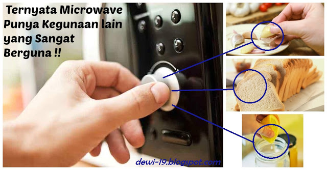 Punya Microwave  di Rumah Kamu Pasti Belum Tahu 7 Fungsi 