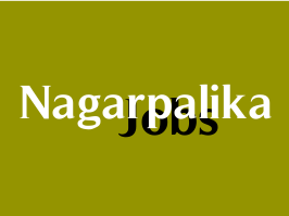 Halol Safaikamdar Posts and Rajpipla And Valsad nagarpalika various fire staff posts 2021