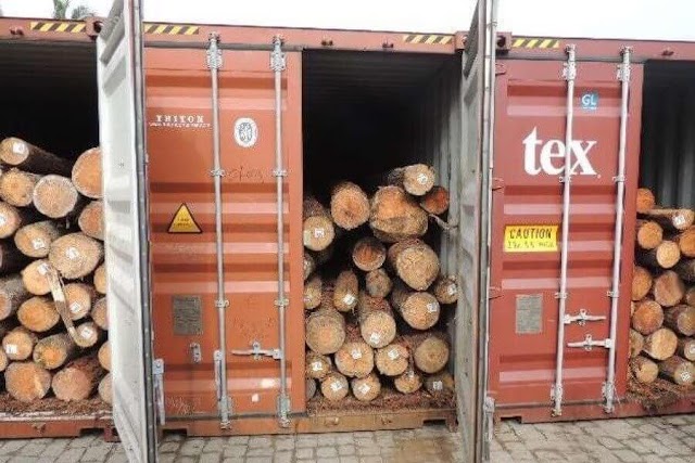 PGR recupera mais três contentores de madeira exportada ilegalmente à China