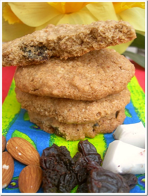 oatsalmondraisincoconutcookies