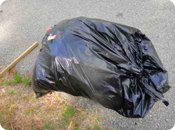 9-full-bag