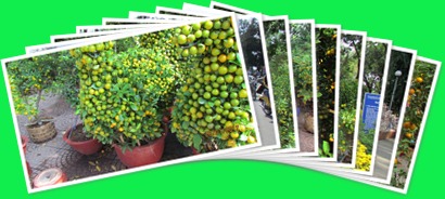 View album