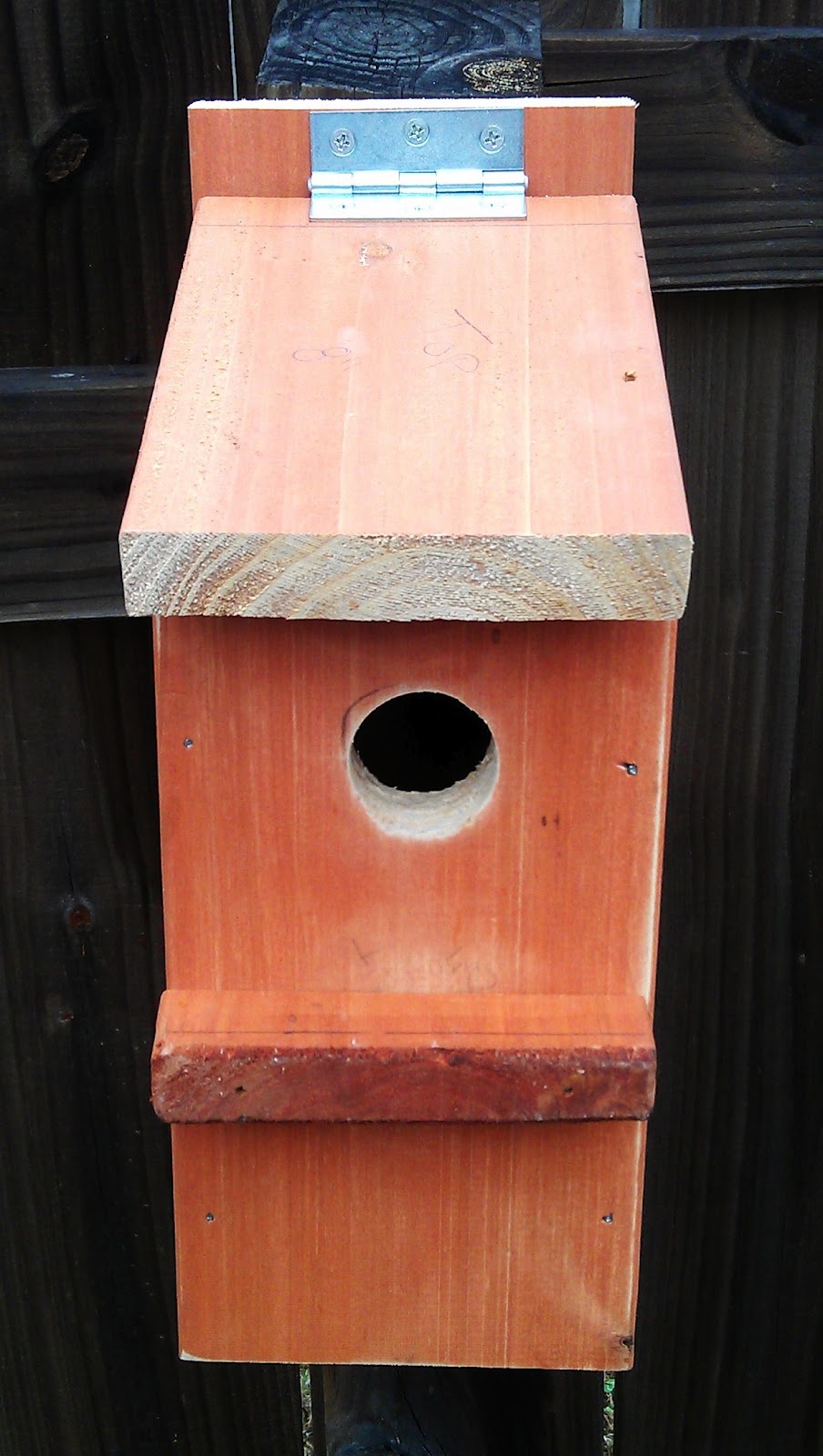 DIY 15 Minute Bluebird  House  Cost 0 5