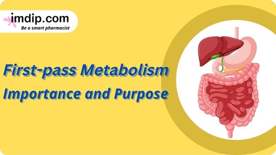First-pass Metabolism- Importance and Purpose | imdip