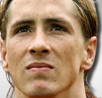 fernando torres spain