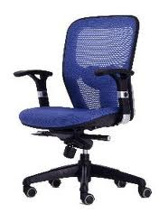 Ergonomic Office Chairs