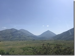 IMG_8310
