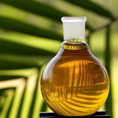 Global Palm Methyl Ester Market