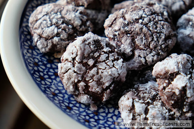 Roasted beets in a tender and chocolatey crinkle cookie.