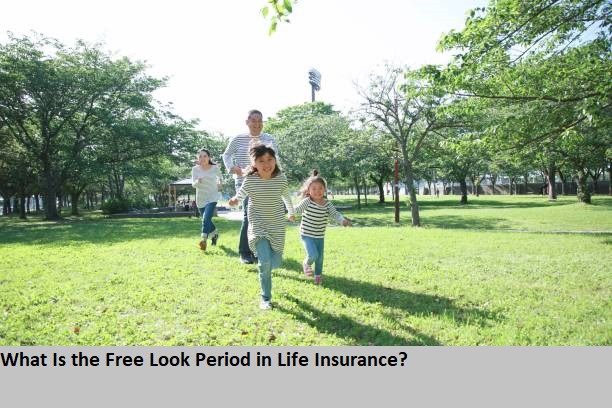 What Is the Free Look Period in Life Insurance?