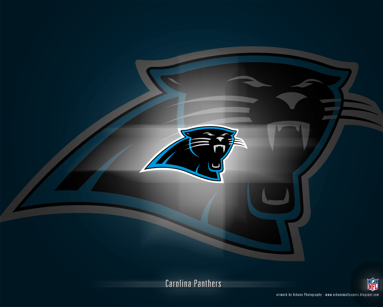 CAROLINA PANTHERS - Vol. 1