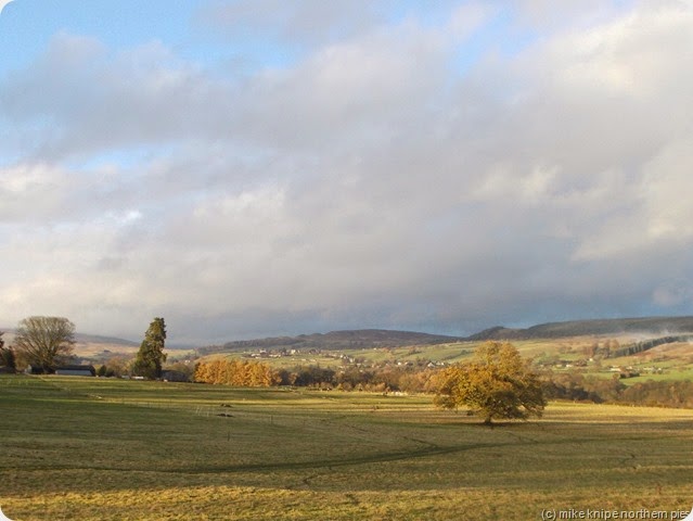 DSCN2350