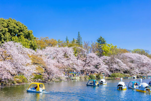 Địa điểm vui chơi giải trí tại Tokyo Nhật Bản 03