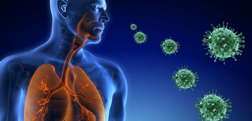 Respiratory Syncytial Virus Diagnostics Market: Global Industry Trends, Share, Size, Growth, Opportunity and Forecast 2022-2028