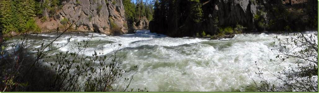 ALASKA 2014 Deschutes River Walk-016