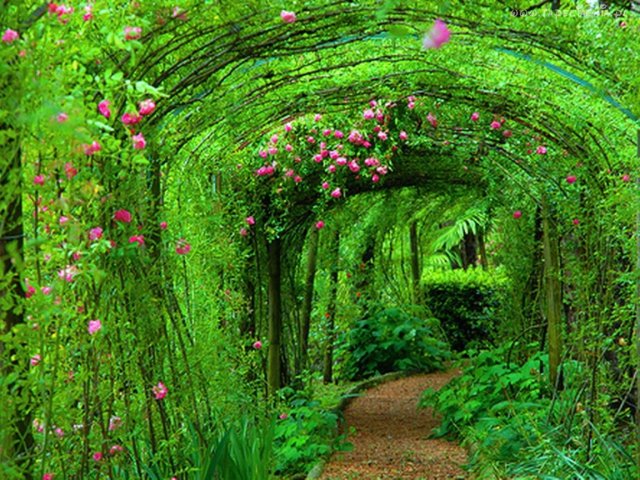 tunnels created by nature