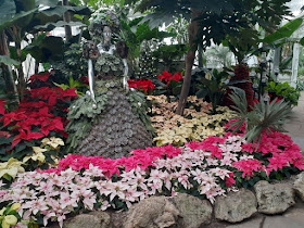 Allan Gardens Conservatory 2019 Winter Flower Show twentytwo by garden muses--not another Toronto gardening blog