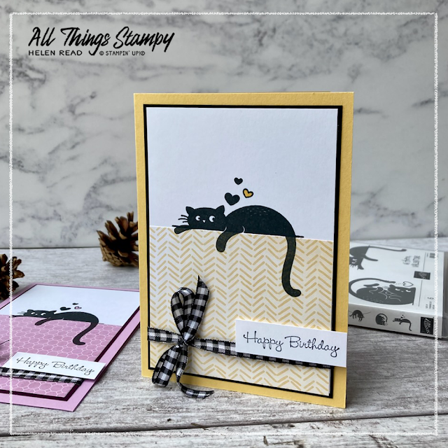 Love Cats easy card ideas Stampin Up UK