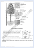 transport-detailed-question-answers-biology-9th-notes