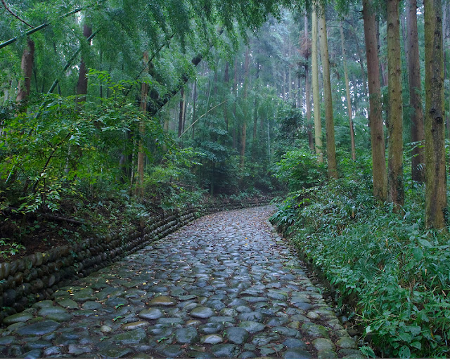 The Tokaido is a vital transportation artery connecting Tokyo and Kyoto 