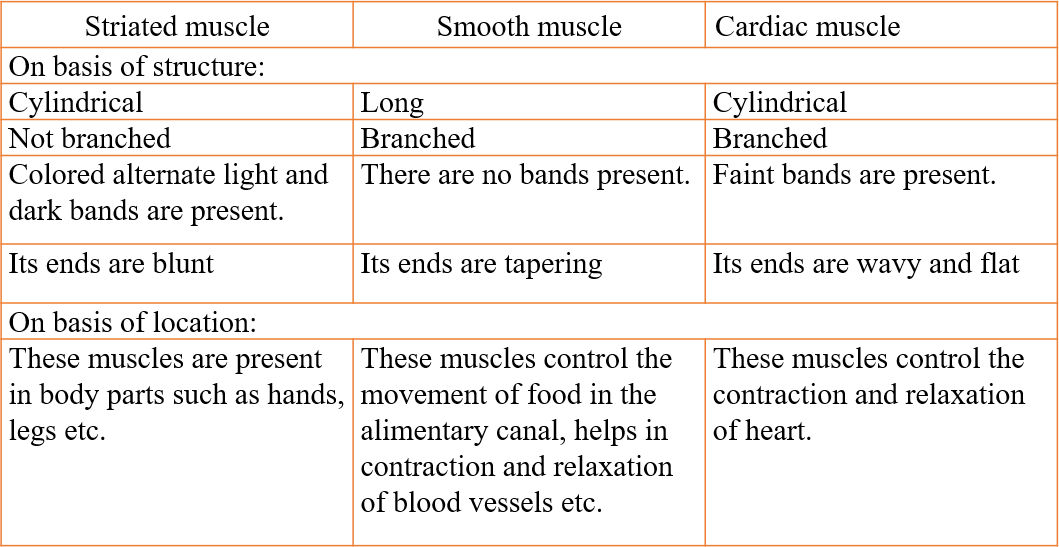 Chapter 6 Tissues Question 8