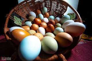 a basket full of chicken eggs