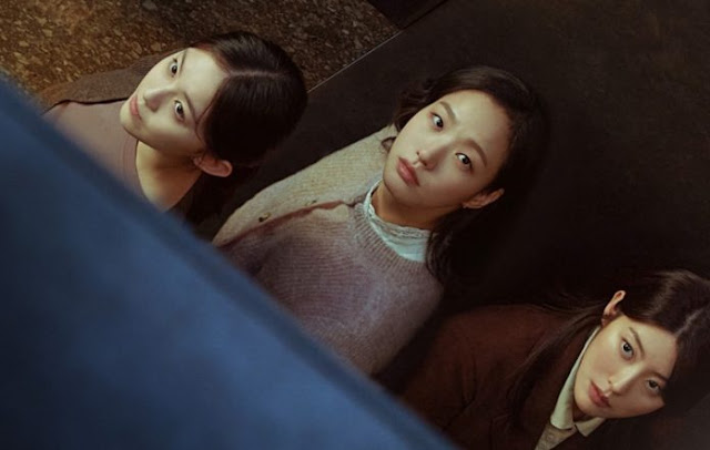Profil, Sinopsis Little Woman Lakonan Kim Go Eun dan Nam Ji Hyun