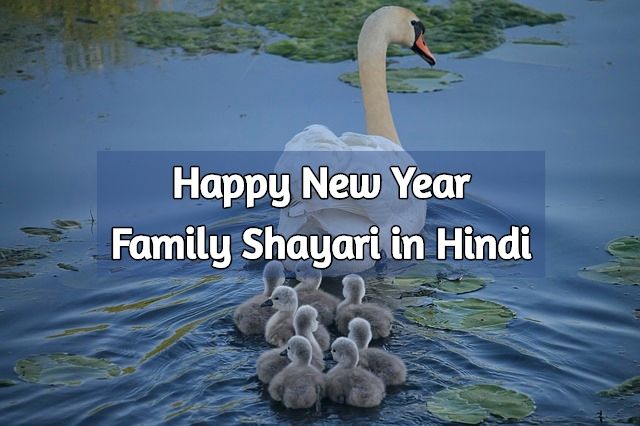 new-year-family-shayari-in-hindi
