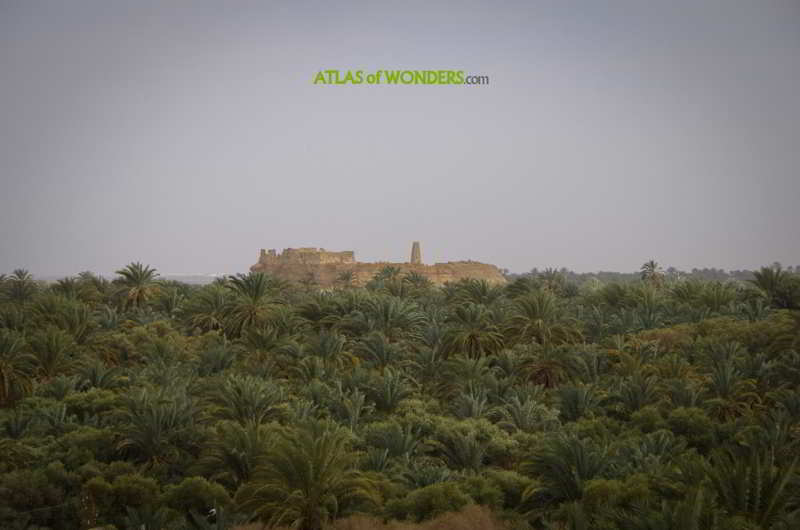 The Oracle of Siwa