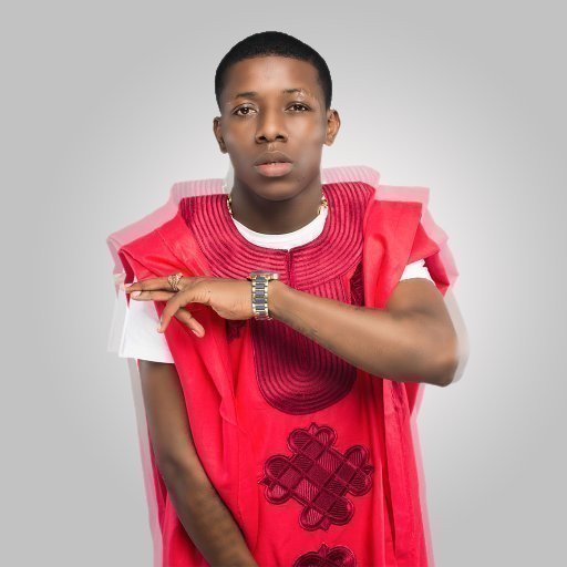 Checkout The 12 Categories Of Nigerian Artistes (Check Where Your Favorite Artiste Belongs To)

