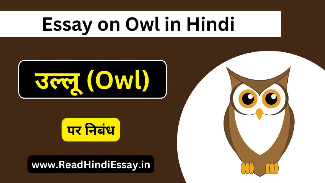 उल्लू पर निबंध – Essay on Owl in Hindi