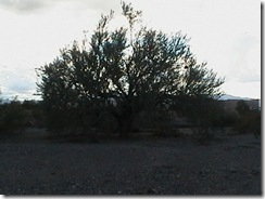 IMGA0899 IMGA0899