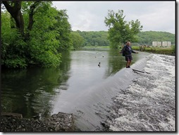 0449weir3norman